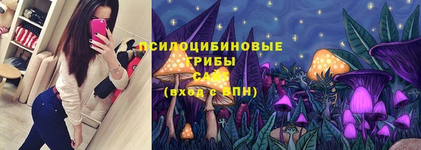 mdpv Арсеньев