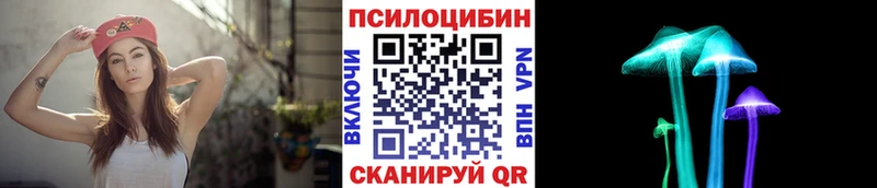 OMG ONION  Узловая  Псилоцибиновые грибы прущие грибы 