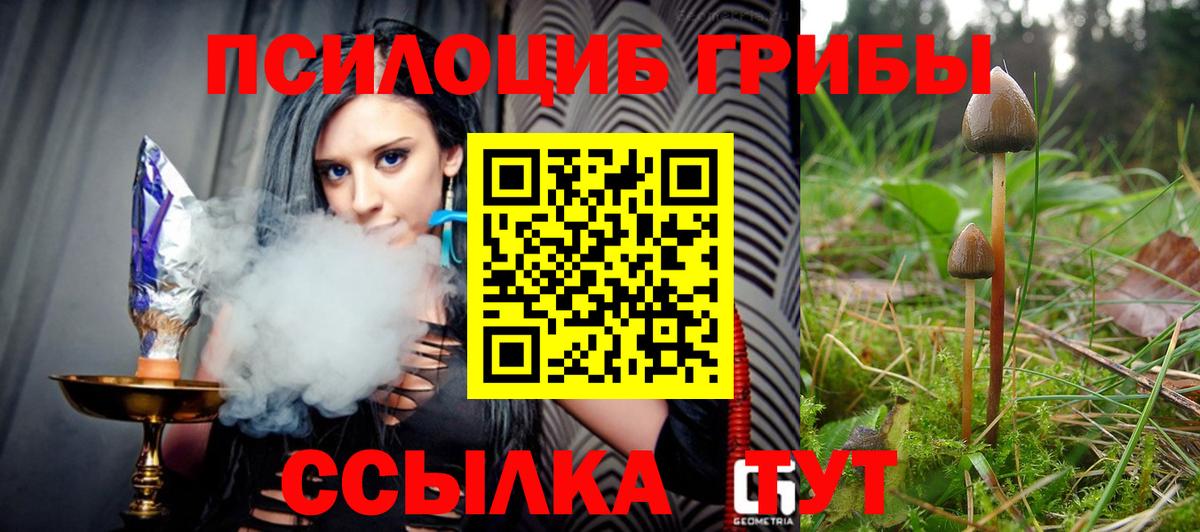 Узловая  Галлюциногенные грибы Magic Shrooms  Вход с VPN 