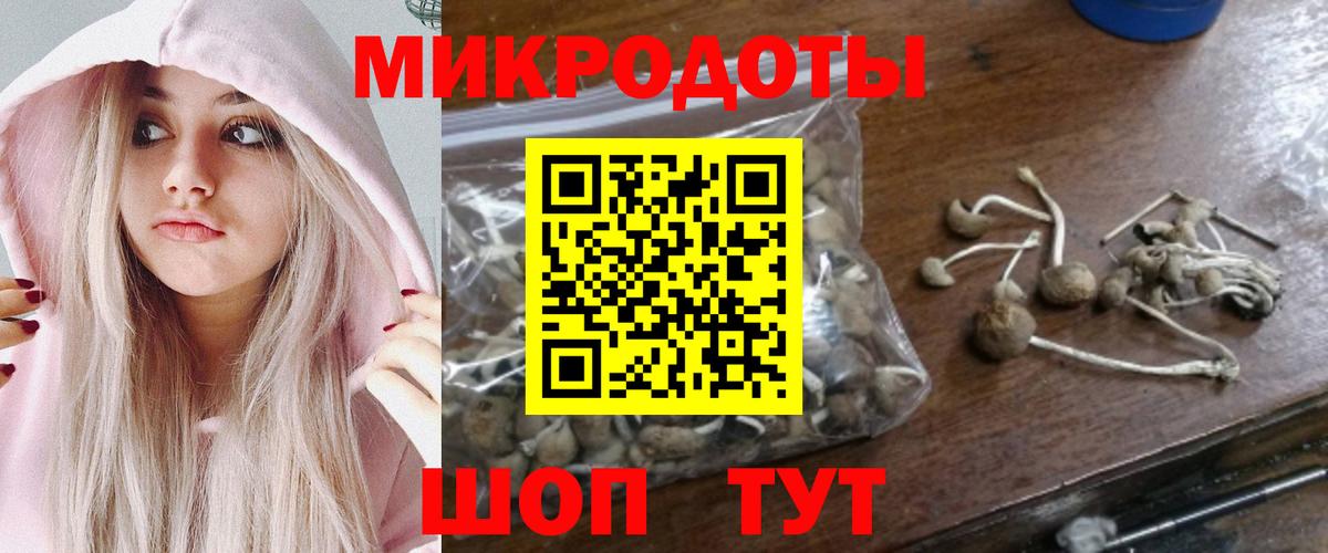 Узловая  Галлюциногенные грибы мицелий  Вход с VPN  Псилоцибиновые грибы MAGIC MUSHROOMS 