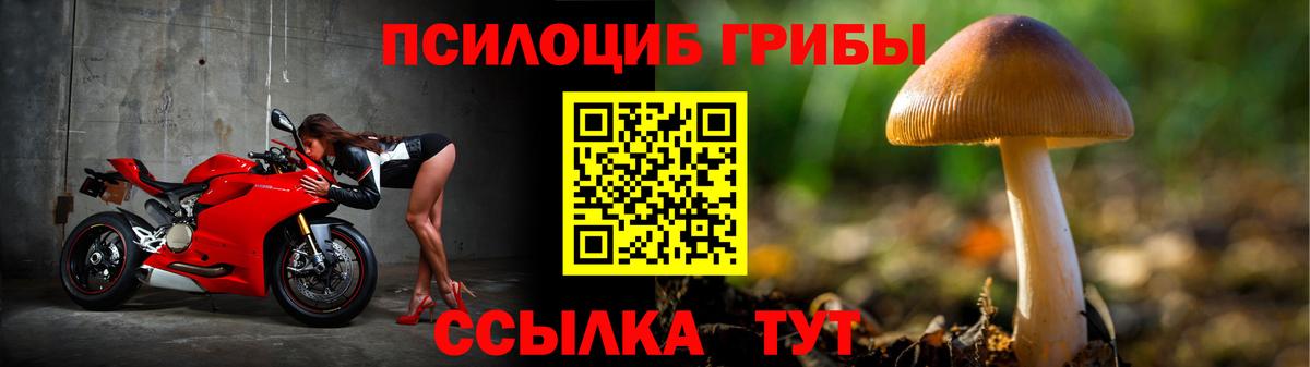 Галлюциногенные грибы GOLDEN TEACHER Узловая