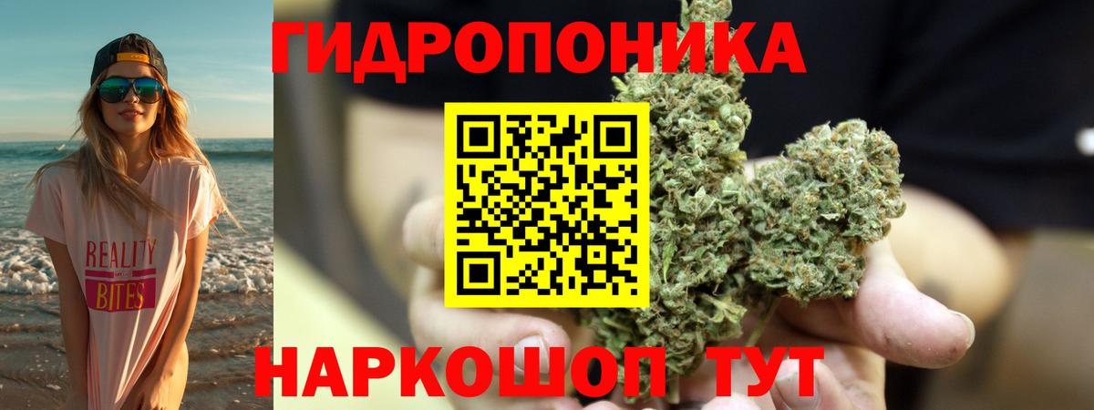 Каннабис ГИДРОПОН  Шишки марихуана семена  Вход с VPN  Узловая  МАРИХУАНА THC 21% 